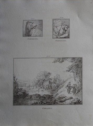 James Northcote &amp; William Collins - Incisione 