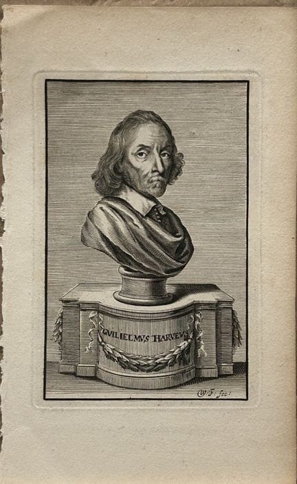 William Faithorne - 17th century engraving of Will