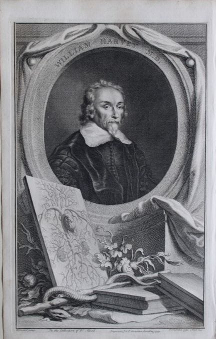 Jacobus Houbraken - Rare engraving of William Harv
