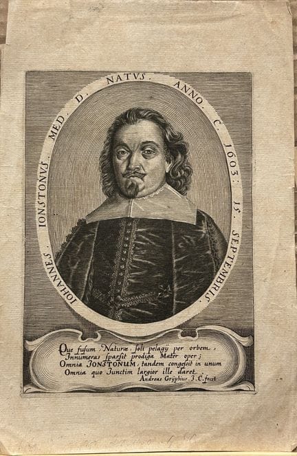 Portrait engraving of Jan Jonston c 1650.

This an