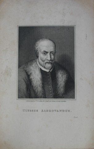 Engraving of Ulisse Aldrovandi published by Thomas