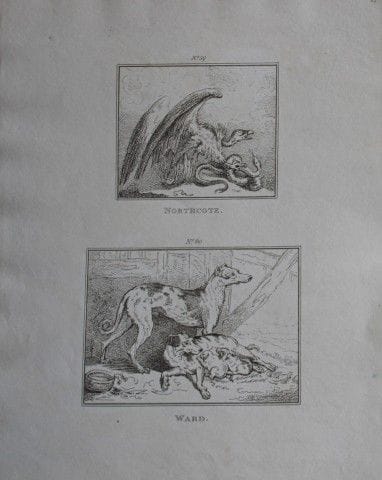 James Ward &amp; James Northcote - Incisione di Jo