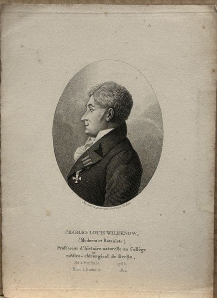 Ambroise Tardieu - Engraving of Charles Louis Wild