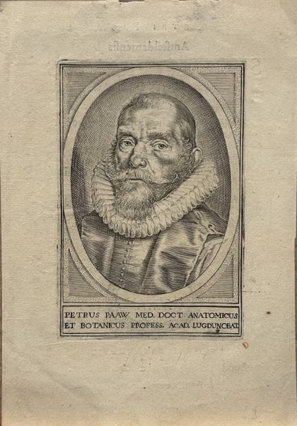 Portrait engraving of Pieter Paauw c1625.

This en