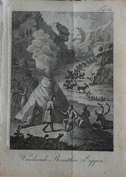 G. Acerbi - Rennes errants en Laponie, 1803.

Cett