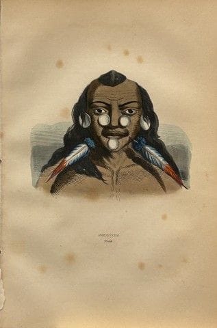 Une gravure sur bois de Wahlen représentant Maxoun