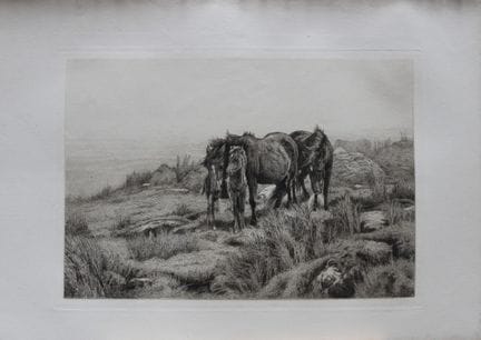 „Pferdefamilie im Nebel von Dartmoor“ von Otto Web