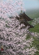 SHIMIZU Nori, Frühlingsansicht des Kiyomizu-dera-T