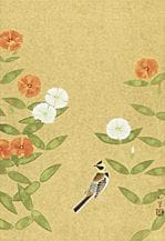 UEMURA Shoko，《Lychnis gracillima》，
纸本水墨彩绘，55.1×38厘