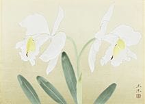 奥库姆拉·东久，《兰花》，
纸板彩绘，纸板尺寸39.1×54.4厘米，附签名及印章，附有艺术家亲笔签