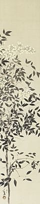川端柳志，《红珠与白珠》（一双卷轴），
绢本水墨设色，每幅尺寸127.6×26.2厘米，其中一幅有署