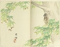VARIOUS ARTISTS, Bijutsu Sekai (a set of 15 volume