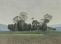 SASAKI Yuji, „Herbstmelancholie“, 
Tinte und Farbe