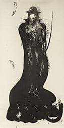 AMANO Yoshitaka, Beauty, 
lithograph, 236x119cm, s