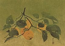 岩桥永恩，《柿子》，
纸本水墨设色，15幅日本画规格（高65.2厘米），署名并盖章，附有艺术家签名的