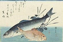 UTAGAWA Hiroshige, UOZUKUSHI: Suzuki Kinmedai ni S
