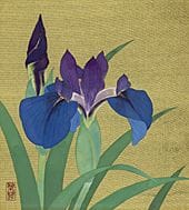 MORITA Rieko, Iris, 
Farbauftrag auf goldener Seid