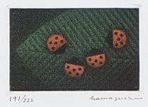 HAMAGUCHI Yozo (a set of 2), HAMAGUCHI'S COLOR MEZ