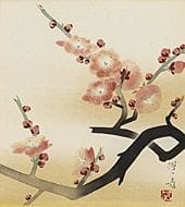 山口保春，《红梅花》，
绢本设色，纸板尺寸27×24厘米，署名并盖章，附有加藤东一的标签，已装裱。
