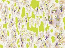 NAKANISHI Natsuyuki, extrait de « WHITE AND YELLOW