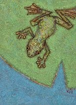 KANAMARU Yuji, « Frog », 
techniques mixtes sur pa