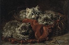 Minnie Rosa BEBB, «Circunstancias agradables», 
19