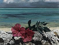 MISU Yuji, « Fleurs du Sud et mer », 
1977, huile 