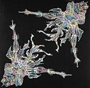 KOMATSU Miwa, Beautiful feathers 02, 
dyeing on cl