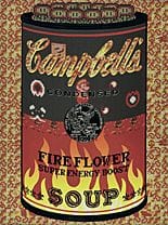 MORI Hiroshi, If there was impossible Cambell's So