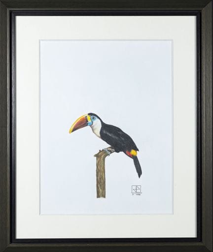 JEAN-LUC CHILLOUX
Tucano
Pastello 
monogramma e da