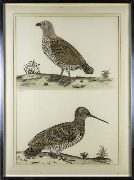 19th-Century French School
Partridge and Woodcock
