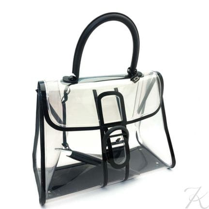 Borsa DELVAUX Brillant X-Ray, edizione limitata, 2