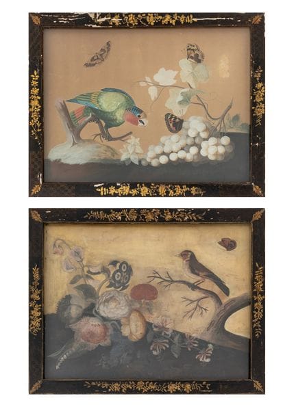 Samuel Dixon: Aquarelle mit Papagei und Stieglitz,