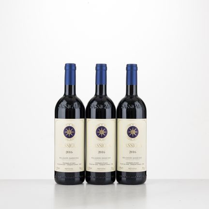 Sassicaia Tenuta San Guido 2016
3 bouteilles (75 c