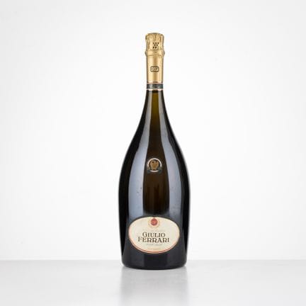 Reserva del Fundador G. Ferrari 2001
1 magnum (150