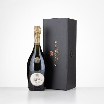 Reserva del Fundador G. Ferrari 1995
1 botella (75