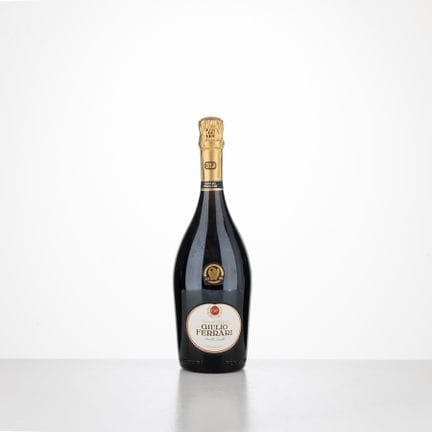 Reserva del Fundador G. Ferrari 2006
1 botella (75