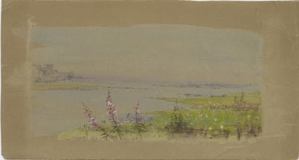 菲德莉亚·布里奇斯（FIDELIA BRIDGES），美国，1834-1923年，79件作品合集，综