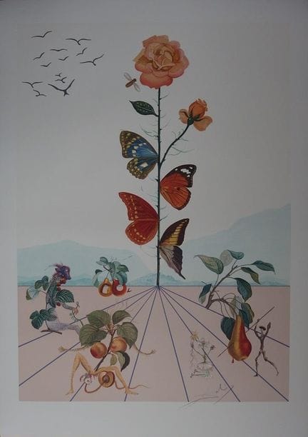 Salvador DALI (1904-1989)
Flordali II -La rose pap