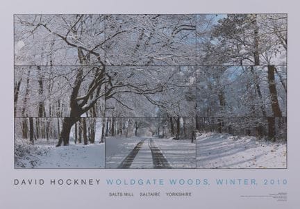 David HOCKNEY (1937)
Woldgate woods


Affiche orig