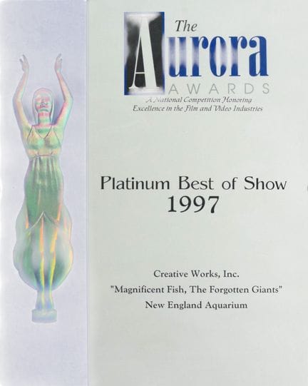 La targa del premio “Platinum Best of Show” degli 
