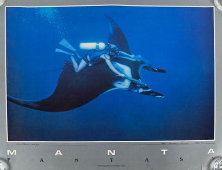 Howard Hall (americano, nato nel 1949). Poster lit