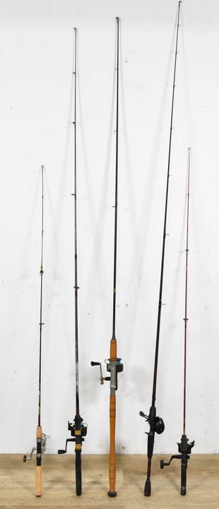 5 cañas y carretes para pesca en agua dulce, entre