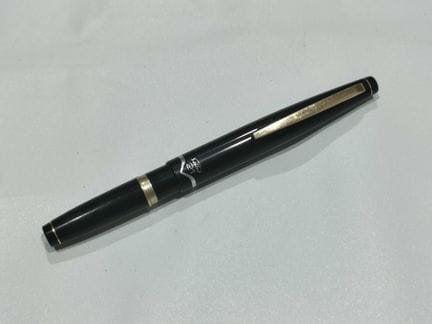 Sailor 黑色钢笔，配 21K 金笔尖  这款 Sailor 钢笔采用经典黑色笔身，配以金色和银