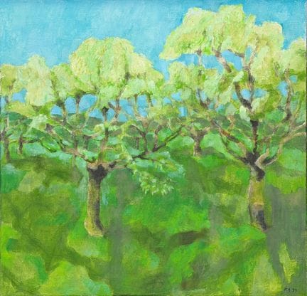 MONOGRAMMED (XX). Almond Blossoms in Spain. 1999. 