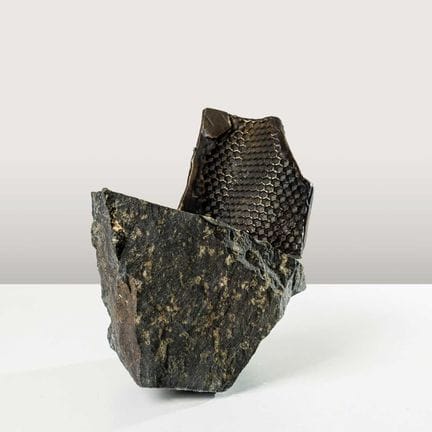 EMPHEMERAL
bronze (moulage d'une alvéole), monté s