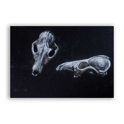 OSSIS
42 x 28 cm. Pastel et crayon sur papier
