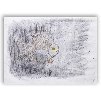 « MEMORY FISH »
59 x 42 cm. Fusain et crayon sur p