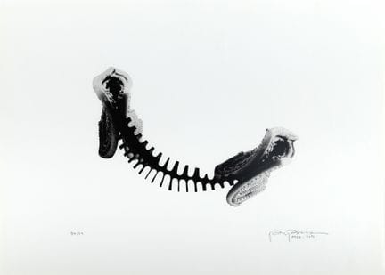 Ana María Tavares, «Sandal Iv»: fotomontaje digita