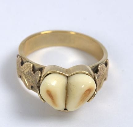 Anello tradizionale in oro 585 con due corna di ce
